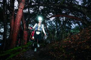 BIB: 
                            <button type="button" onclick="openModal(26341503)" class="btn btn-primary btn-sm float-right btn-popup" data-toggle="modal" data-target=".modal-high-quality">
                        <i class="fas fa-shopping-cart"></i> Add to Cart
                    </button>
                                            <button type="button" onclick="isThisMe(26341503, true)" class="btn btn-success btn-sm float-right btn-popup btn-isme hidden" data-toggle="tooltip" data-placement="bottom" title="นี่คือรูปของคุณใช่ไหม คลิกที่นี่เพื่อเอาเข้าอัลบั้ม">
                        <i class="fas fa-plus"></i> Add to album
                    </button>
                    <button type="button" onclick="isThisMe(26341503, false)" class="btn btn-warning btn-sm float-right btn-popup btn-isnotme hidden">
                        <i class="fas fa-ban"></i> Remove from album
                    </button>